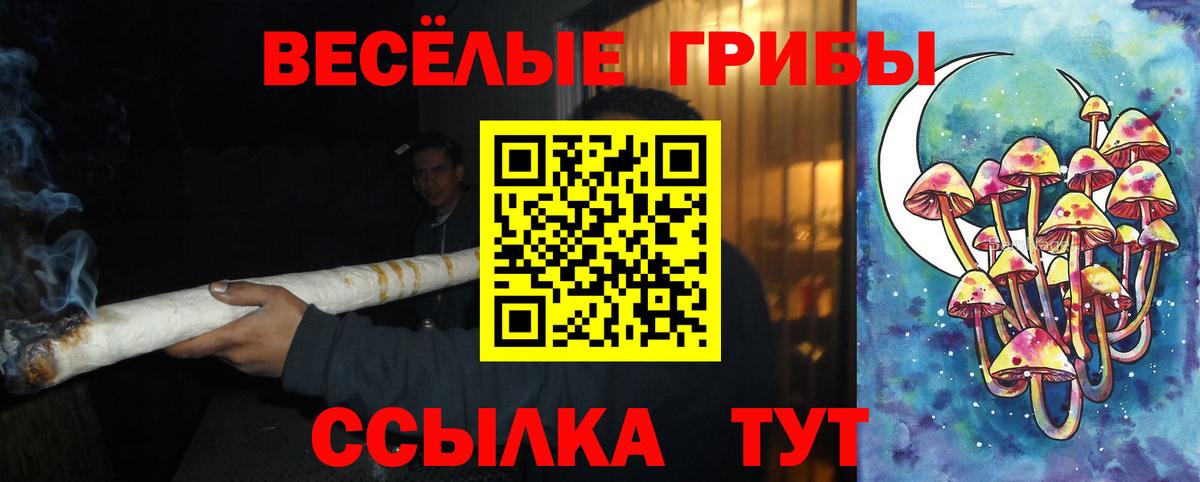 Псилоцибиновые грибы Cubensis  Вход с VPN  Крымск 